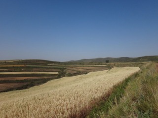 DSC00795.JPG