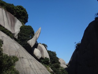 DSC00800.JPG