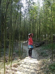 DSC00850.jpg
