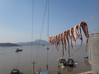 DSC00868.JPG