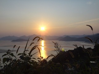 DSC00919.JPG