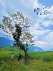 A8A82B6E-7252-4A9B-B9C5-C0EF741A4BBF/L0/001