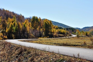 DSC_0941.jpg
