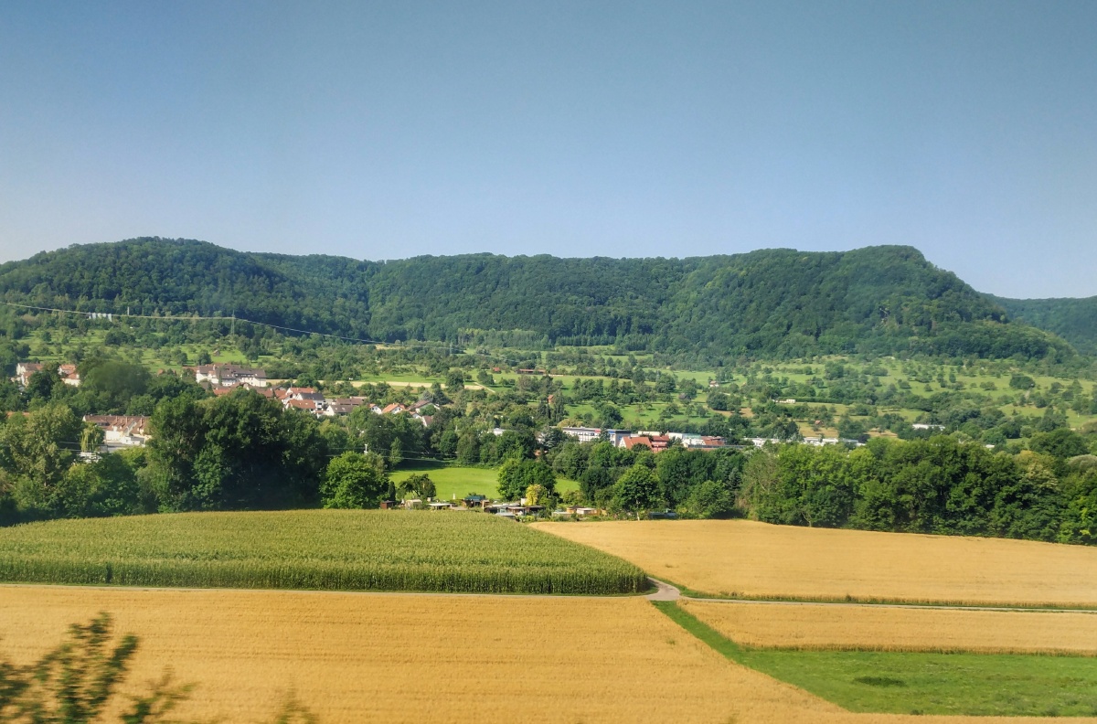 德国,乌尔姆高处可以远眺阿尔卑斯,赏心悦目的麦田.