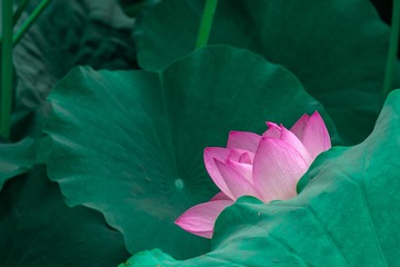 001