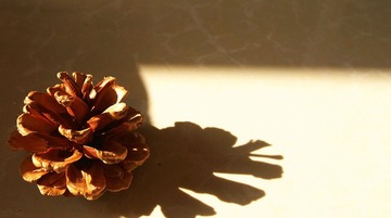 PB240238.jpg