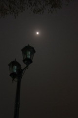 IMG_2006.jpg