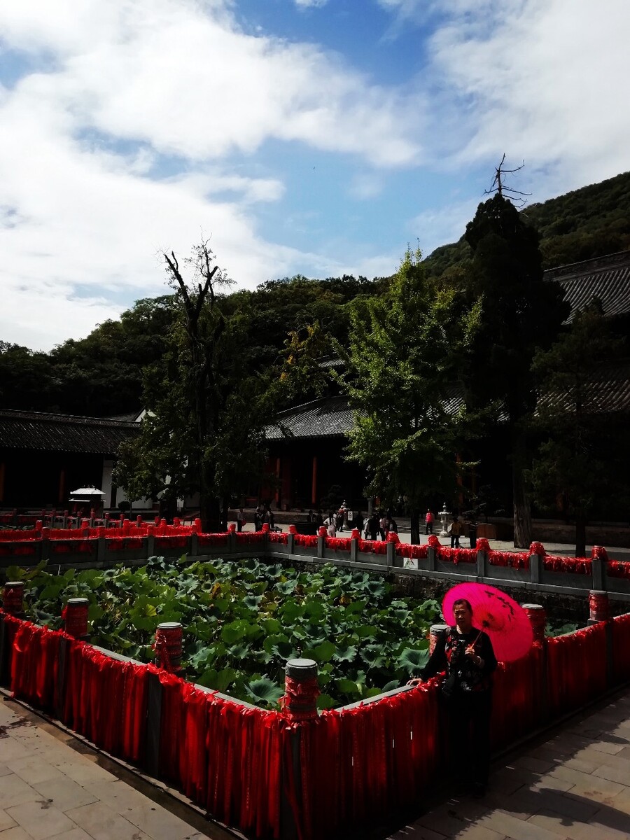 荷塘