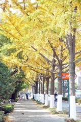 DSC_1005.jpg