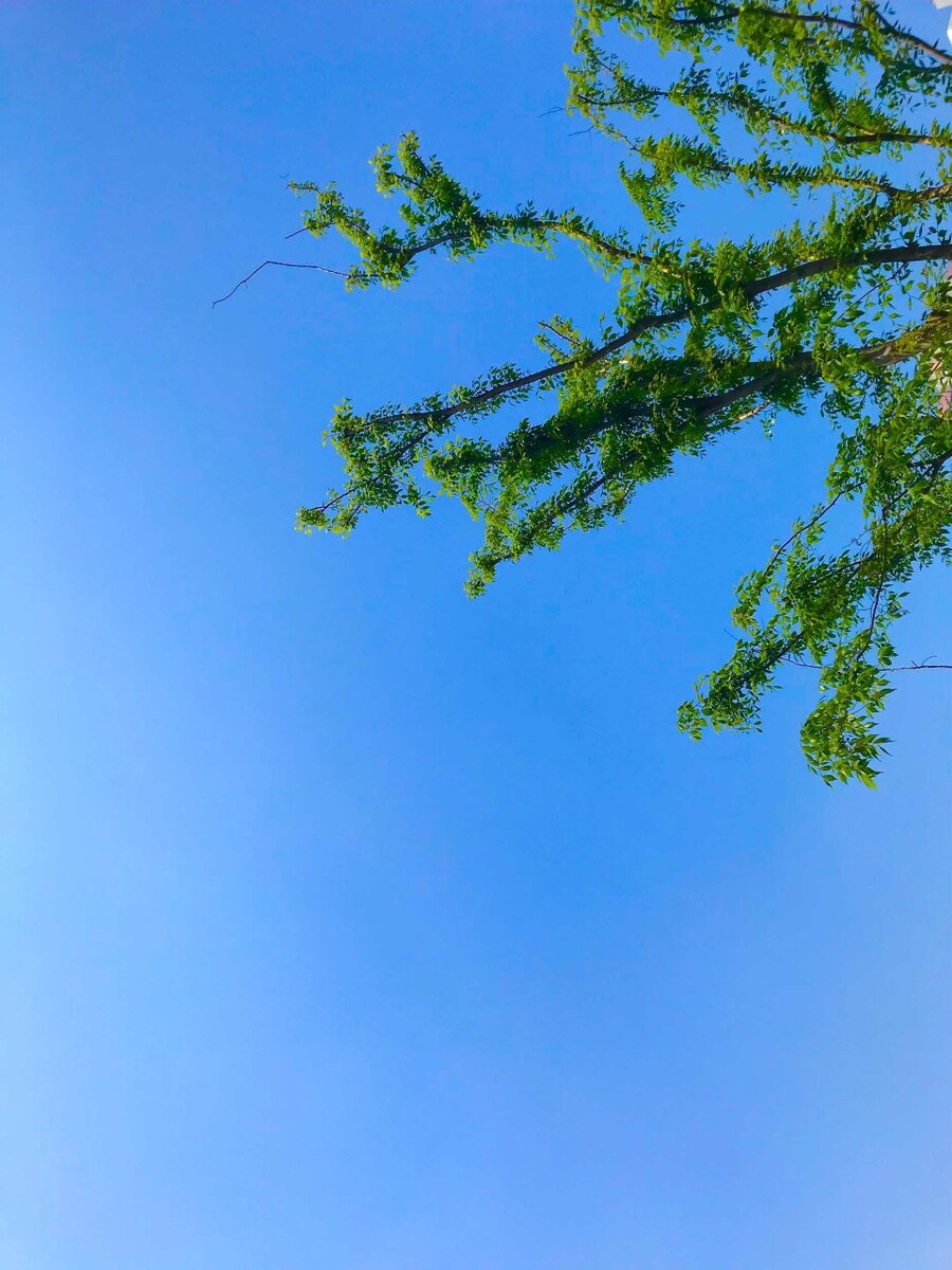 蓝天站的蓝天