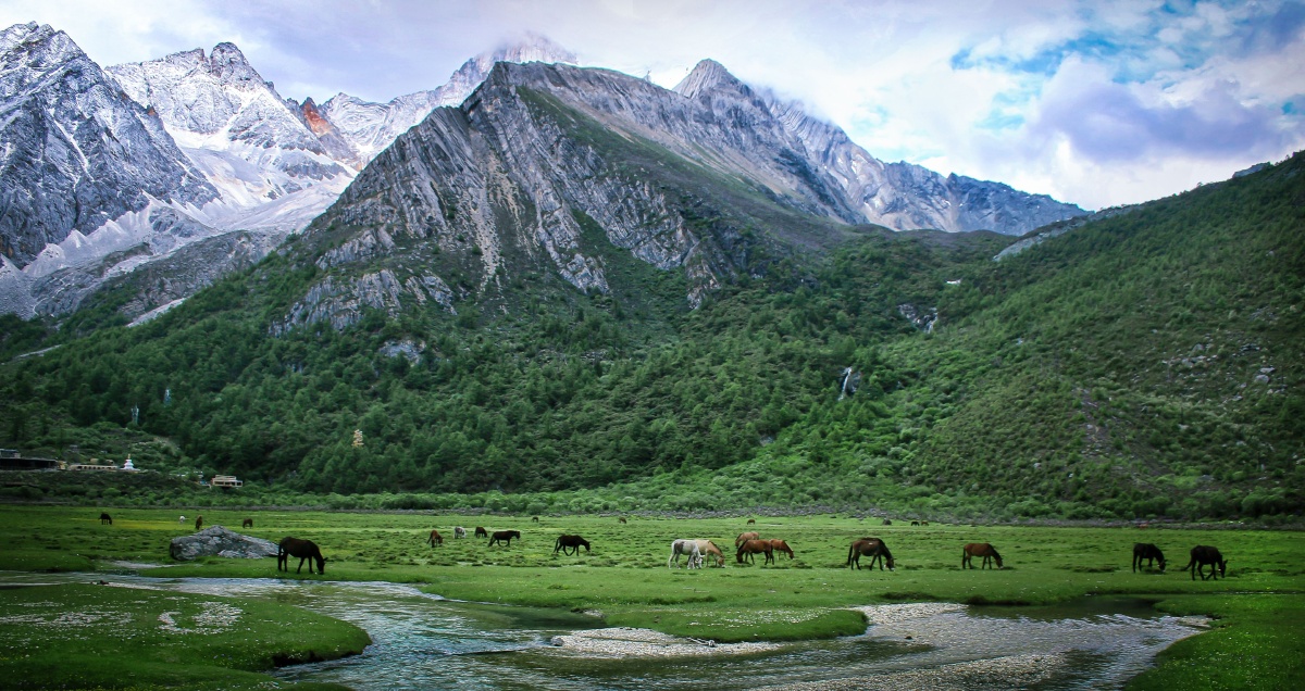 稻城亚丁 洛绒牛场 - 与未知相似- - 图虫