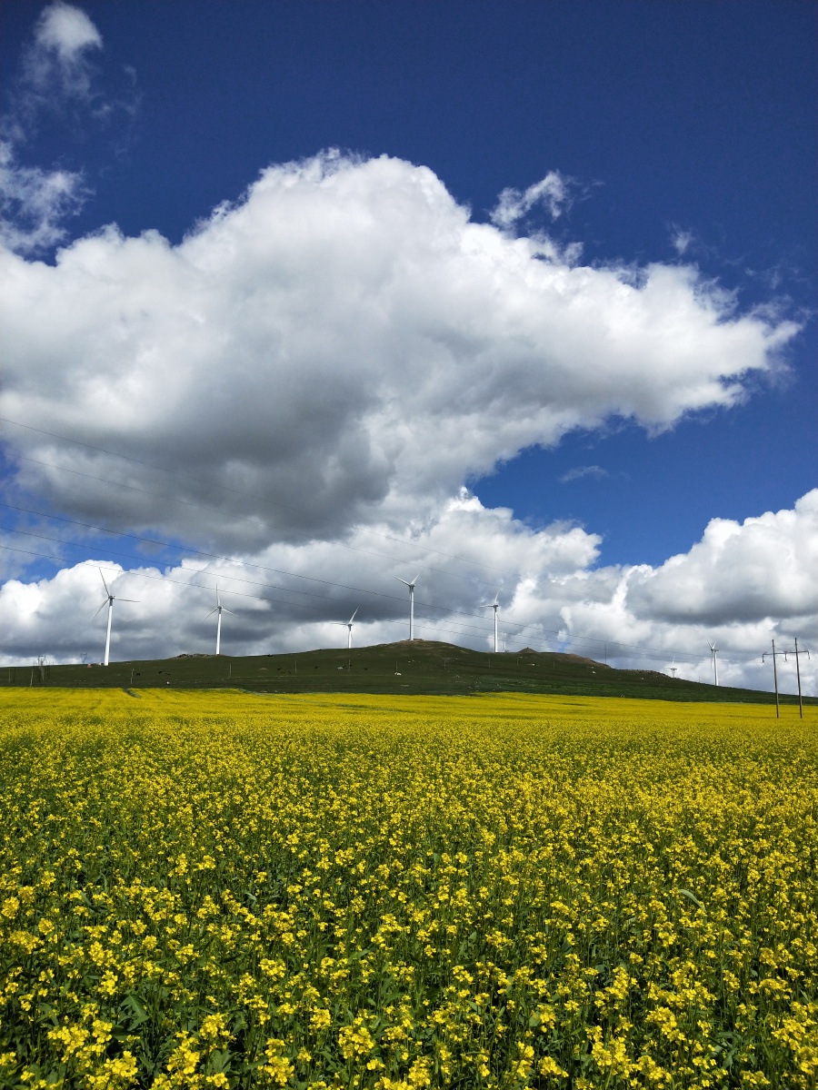 乌兰察布辉腾锡勒草原黄花沟