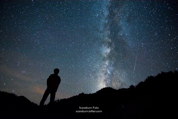 DSC_8618M-1