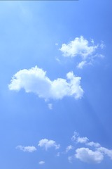 9D256F3B-0974-4A39-BC37-FF113A103408/L0/001