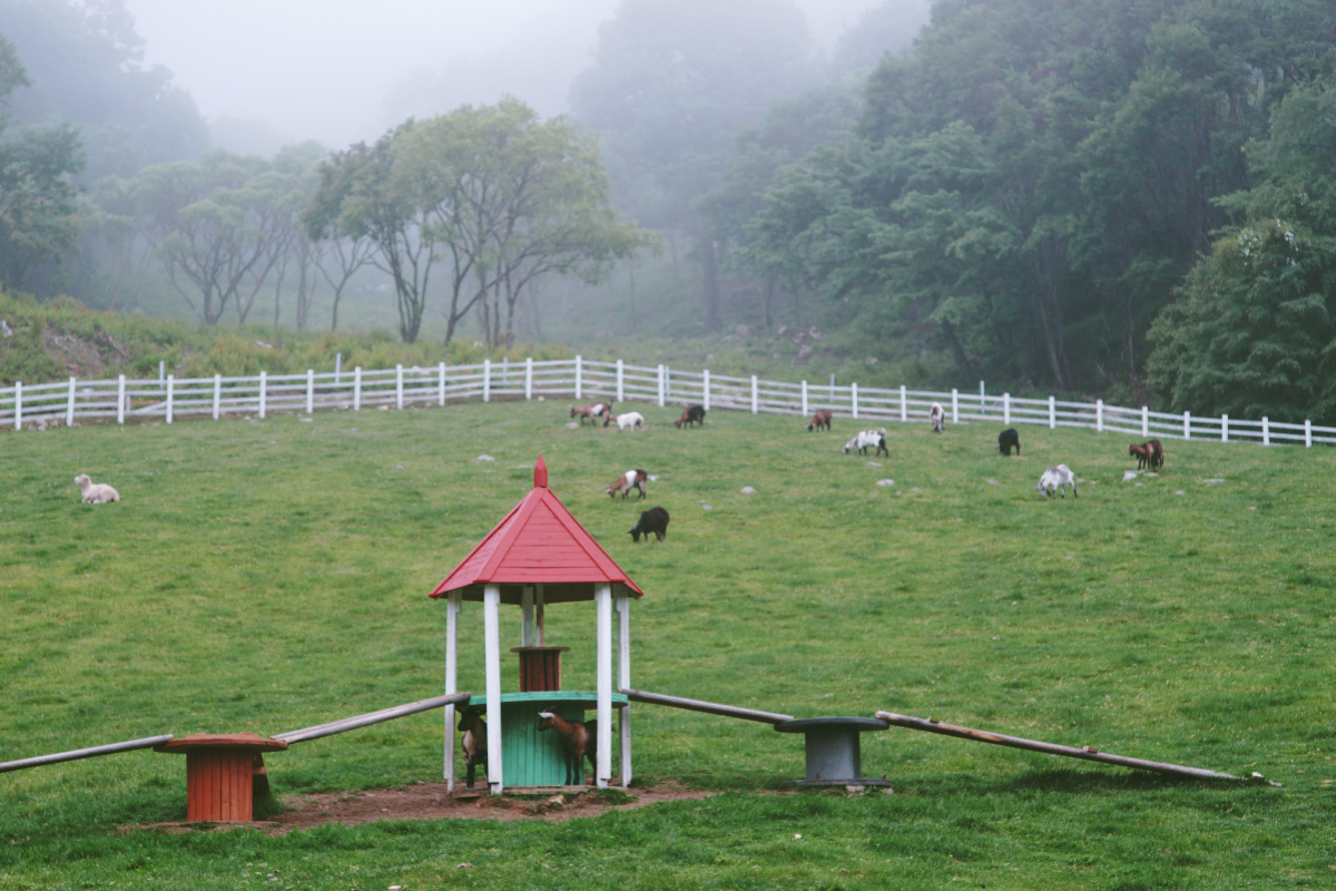 韩国下小雨的天空牧场