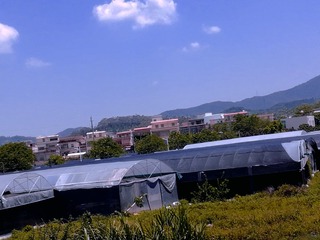 87062