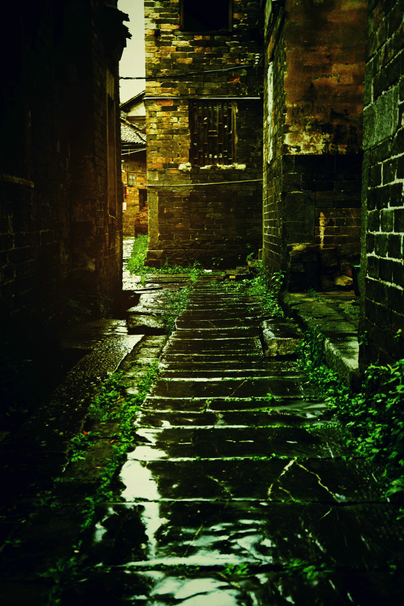 雨巷撑着油纸伞独自仿徨在悠长悠长又寂寥的雨巷