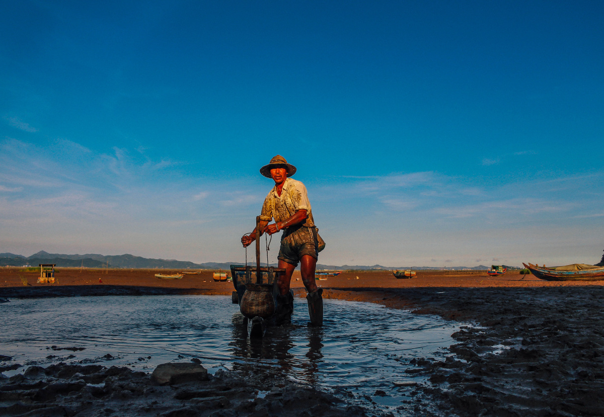 一天的出海捕捞已经结束,再苦再累也是值得的,因为有收获的