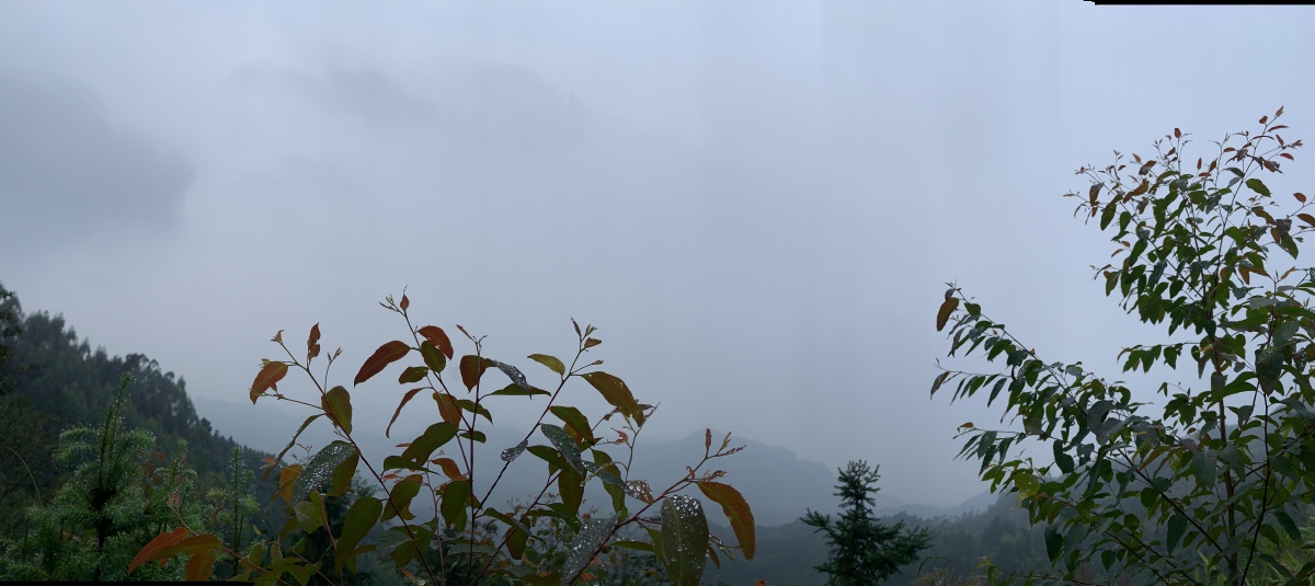 今天到山上玩突然下雨