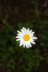310057