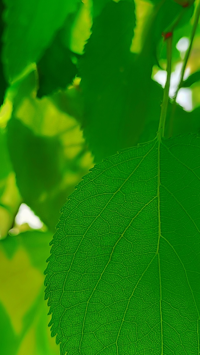 生活中的色彩手机记录生活发现不凡之美shotonrealmeq3pro5g20210511