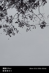 1000122264