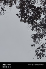 1000122266