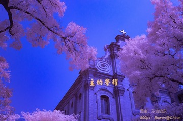 DSC04736-upload