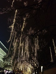 2018315