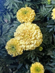 F3D4529C-8927-4E8C-8A78-6AB871204ADF/L0/001