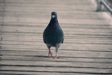 81917
