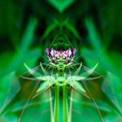 001