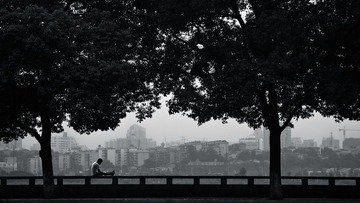 在河堤上读书的人