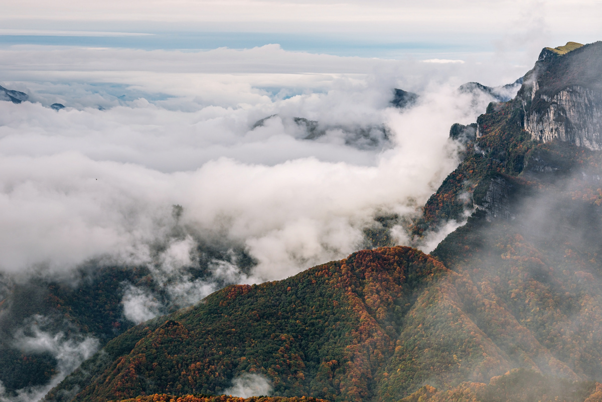 云山雾海神农架