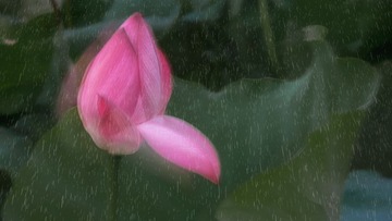 1000008654