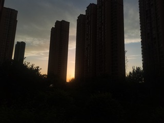 102041