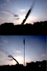 2010.6.4.1