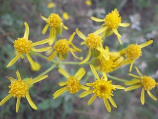 R0013762