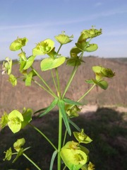 R0013726
