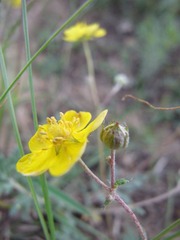 R0013775