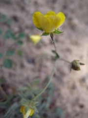 R0013828