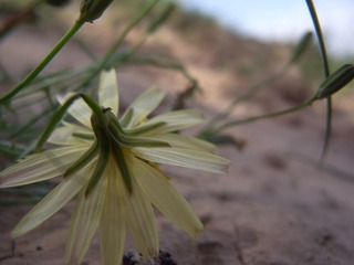 R0013847