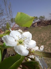 R0012178