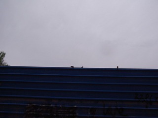 R0012742