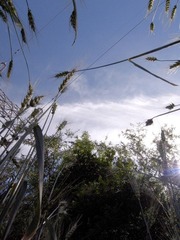 R0015380