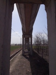 2010.3.27-8