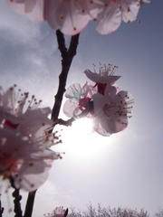 R0010920