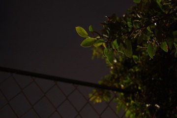 DSC_1101.JPG