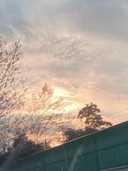 82891364-F667-4512-B908-EE9479B68D89/L0/001