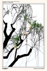 11593EC7-9ADA-48CB-895F-C2C6781477EF/L0/001